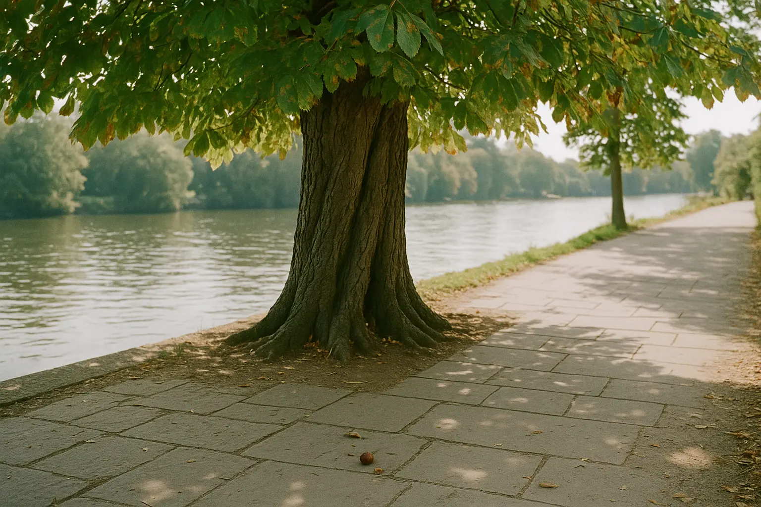 The places we keep coming back to